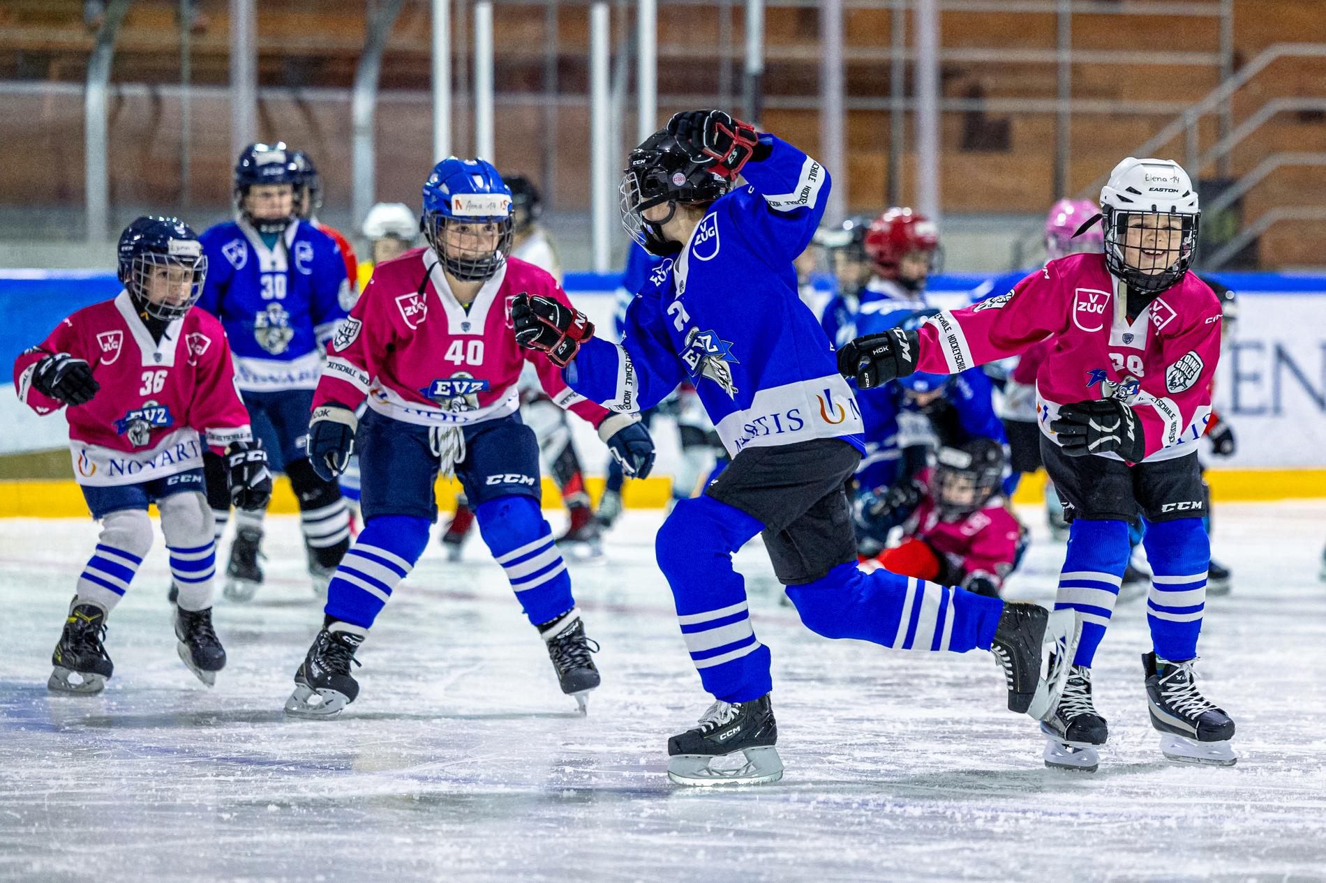 Young Bulls Girls Hockey