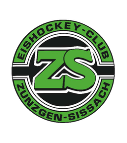 EHCZS